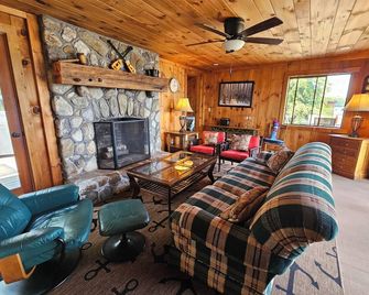 Pleasant Island - Moultonborough - Huiskamer