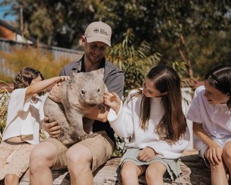 Tiny Wombat and Wallaby - Dural