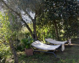 Casale san Pietro - Otricoli - Patio