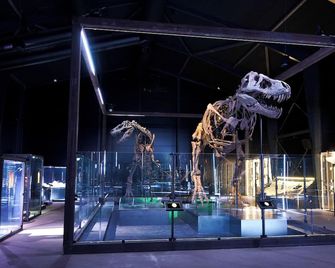 Knuthenborg Safaripark - Maribo