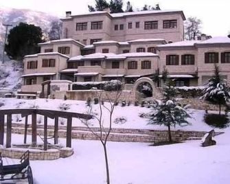 Hotel Taxiarches - Aristi - Building