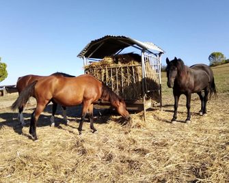 Tenuta Agricola Fonte Di Papa - Monterotondo