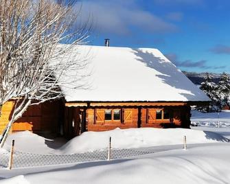 Les 7 Coeurs, cosy chalet in Val Foncine - Foncine-le-Haut - Bâtiment