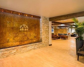 St James Beaver Creek - Beaver Creek - Лоббі