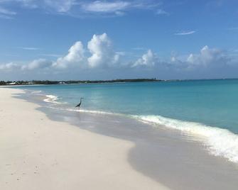 Fabulous beachfront condo - Treasure Cay - Beach