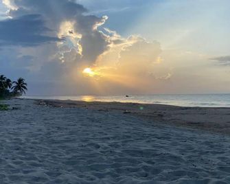 Coccoloba Beach Hostel - Dibulla - Playa