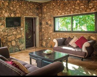Riverstone chalet - Barouk - Living room