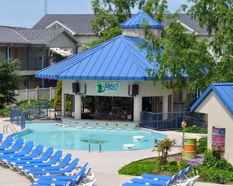 Islander Inn - Put-in-Bay - Bar