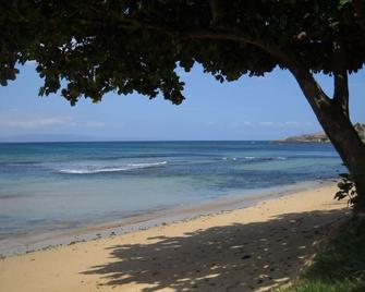 195-295/night, Oceanfront with 2 Master Suites, Fully Stocked, Amazing View!!! - Wailuku - Plage