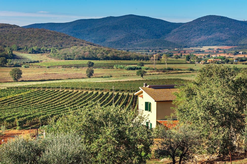 Poggiolivi Agriturismo Bio in Maremma - Montiano - Vista del exterior