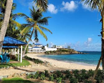 Darling Palms Retreat: Beachside 2-Bedroom Oasis - Saint Thomas Island - Pantai