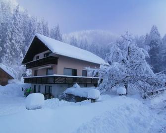 Apartments Mertelj - Kranjska Gora - Budynek