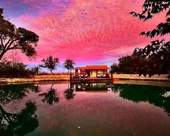 Secluded Oasis in the Desert - Safford