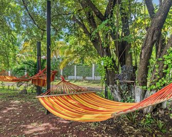 Finca Brisas de la Montaña - Coco - Patio