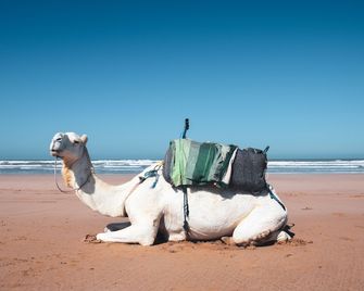 達爾達亞娜民宿 - 索維拉 - 索維拉 - 海灘