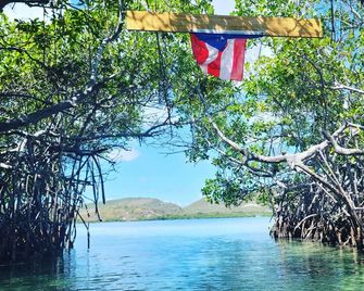 Hightide Guesthouse Apartment #7 - La Parguera