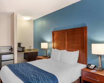 Comfort Inn & Suites Lees Summit - Kansas City - Unity Village - Habitación