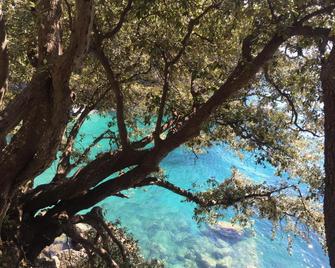 Infinity View - Vernazza