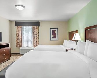 Ledgestone Hotel Elko - Elko - Habitación