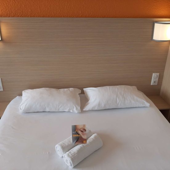 Première Classe Mâcon Sud image 1