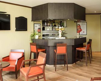 ibis Nevers - Nevers - Baari