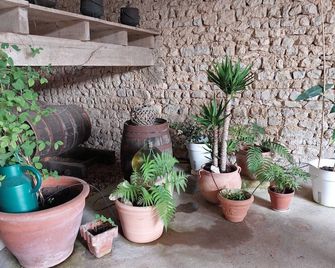Independent House Between Angoulême And Cognac - Asnières-sur-Nouère - Patio