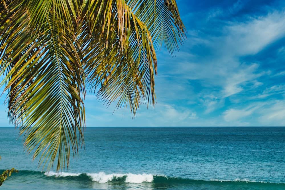 تروبيكيست بيتش هوتل آند ريزورت - كراون بوينت - مبنى