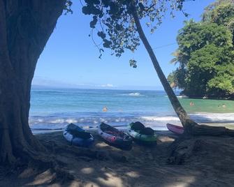 Beachfront Apartment Punta uva - Cahuita - Playa