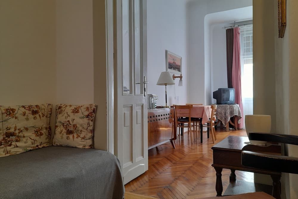 Next Danube river , personal welcome , private guided tours and homerestaurant - בודפשט - סלון