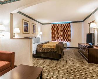 Quality Inn & Suites - Evansville - Schlafzimmer