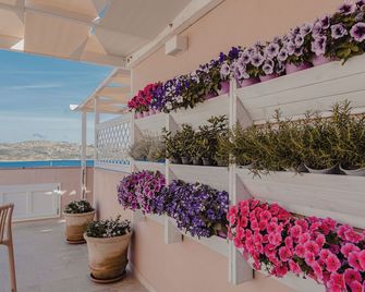 Controvento - La Maddalena - Balcón