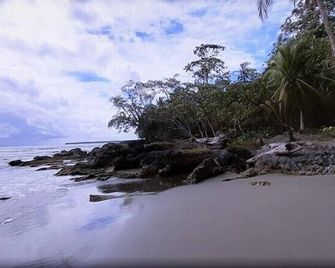 Cabinas Algebra - Cahuita - Playa