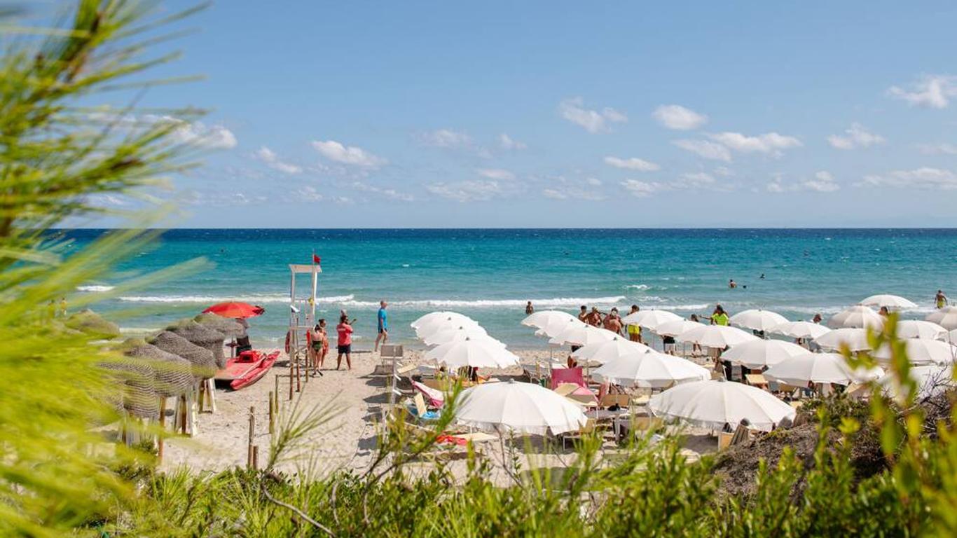 ريزورت بايا دي تورتشي