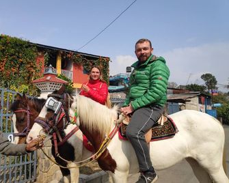 Hotel Mountain View - Pokhara