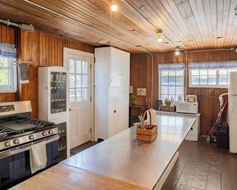 Iconic Lakehouse - Ivy Lodge - on Pine Lake - Plainwell - Cocina