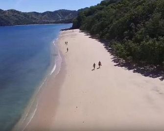 Jungle and Ocean Paradise, Infinity Pool, 4BR/3BA - Private location! - Playa Matapalo - Playa