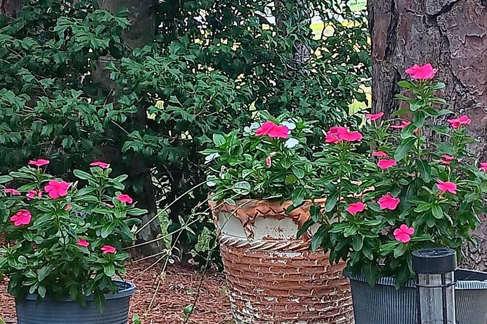 Outdoors view view of Peace on the Brewers River.