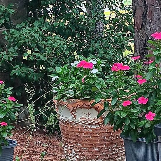 Outdoors view view of Peace on the Brewers River.