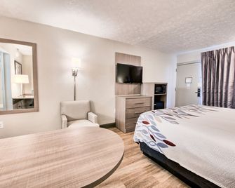 Red Roof Inn Dayton - Moraine/U of Dayton - Dayton - Chambre