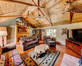 Longs Peak Cabin - Monthly Long-Term Vacation Rental 30 Days -- Estes Park cabin - Allenspark - Obývací pokoj