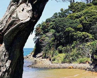 The Lazy Sailor - slow living retreat - Great Barrier Island - Vista del exterior