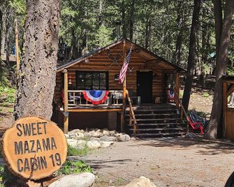 Cozy Mazama cabin nestled in the woods in the North Cascade Pet Friendly! - Mazama