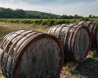 Les Terres de Saint-Hilaire - Saint-Maximin-la-Sainte-Baume