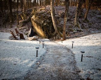A cabin of windows amongst the trees- 15 mins from Mont Tremblant! - La Conception - Servicio de la propiedad