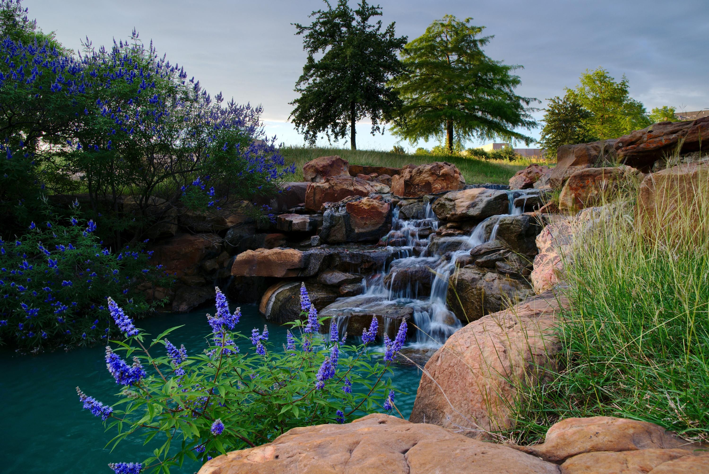 Holiday Inn Express Frisco Legacy Park Area By IHG - Frisco - Udsigt