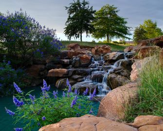 Holiday Inn Express Frisco Legacy Park Area By IHG - Frisco - Außenansicht