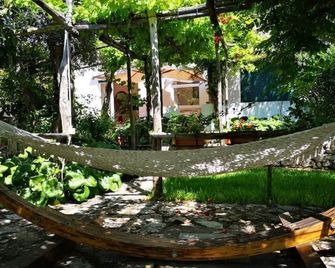 Cozy cottage surrounded by a typical Capri garden. 10 min from the Blue Grotto. - Anacapri - Innenhof