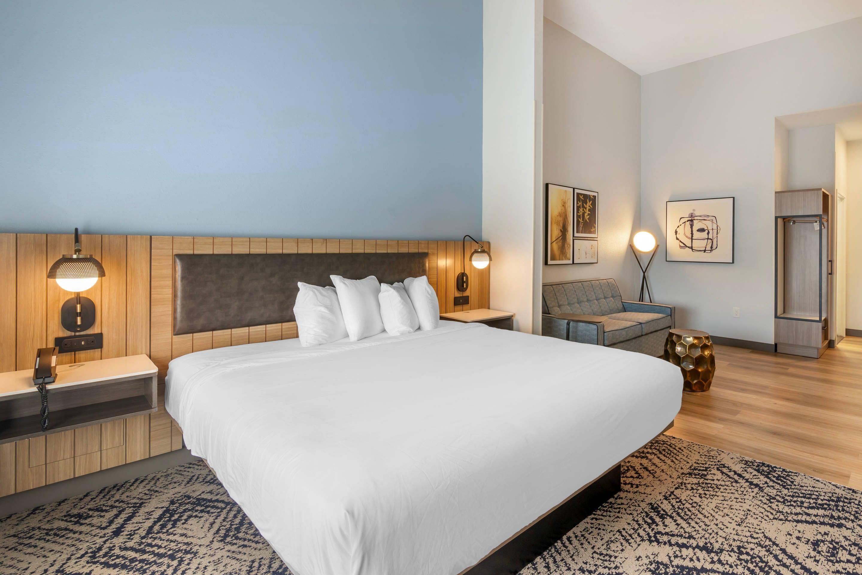 Country Inn & Suites by Radisson Savannah Airport - Savannah - Soveværelse