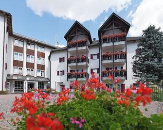 Gorgeous one-bedroom apartment with all amenities - Santa Cristina Valgardena - Building