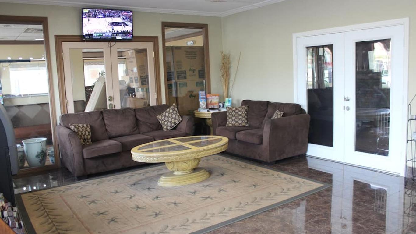 تامبا إن نير بوش غاردنز